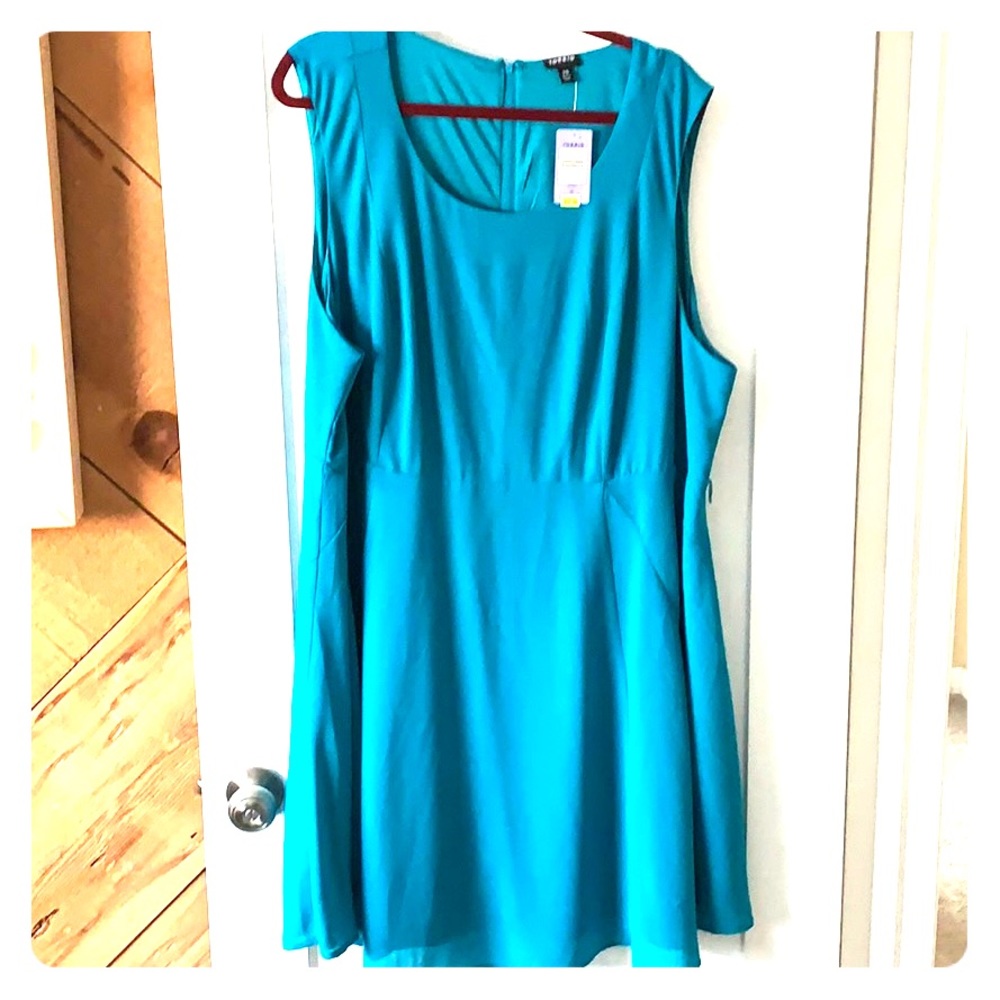 Torrid sleeveless swing dress